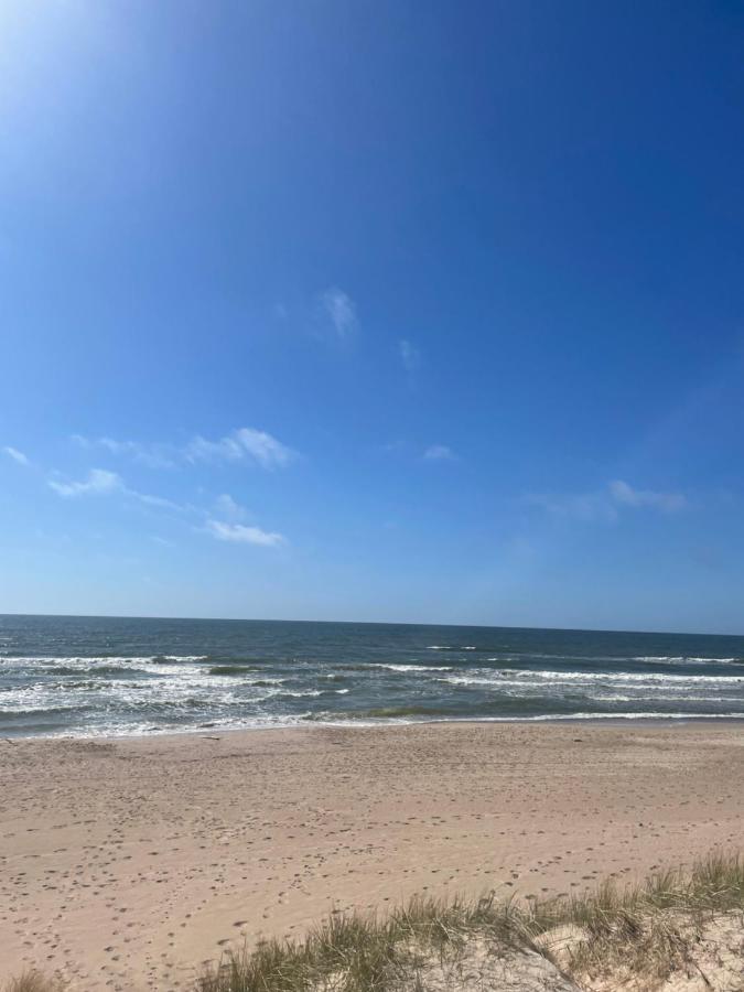 Cozy Vaivorykstes Apartment Palanga Dış mekan fotoğraf