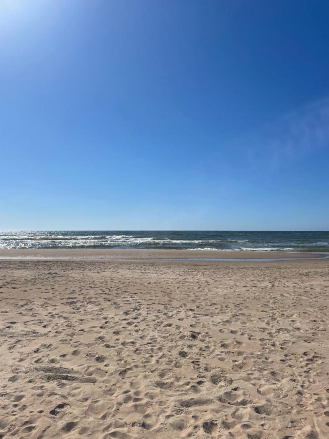 Cozy Vaivorykstes Apartment Palanga Dış mekan fotoğraf